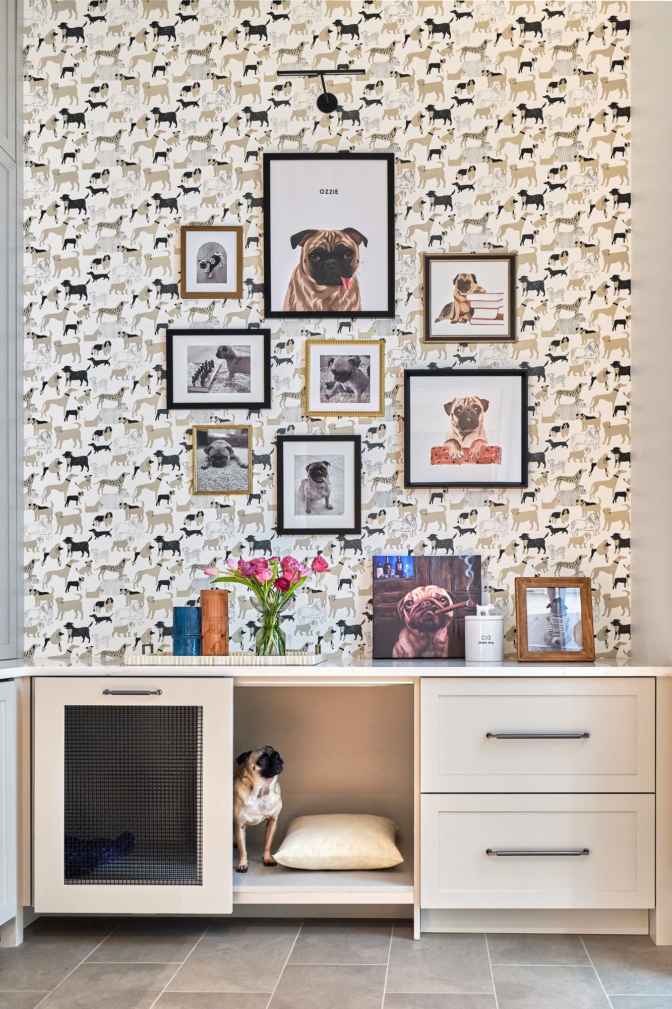 Pet suite